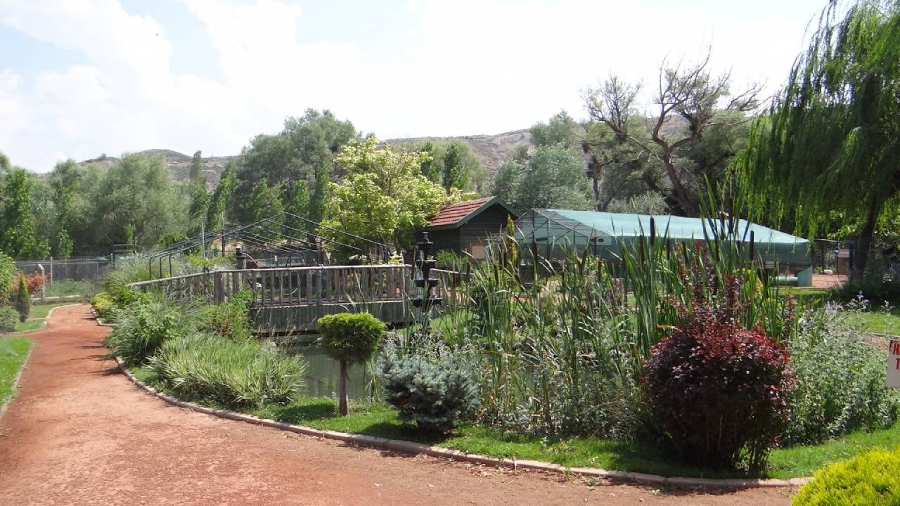 eskisehir-hayvanat-bahcesi