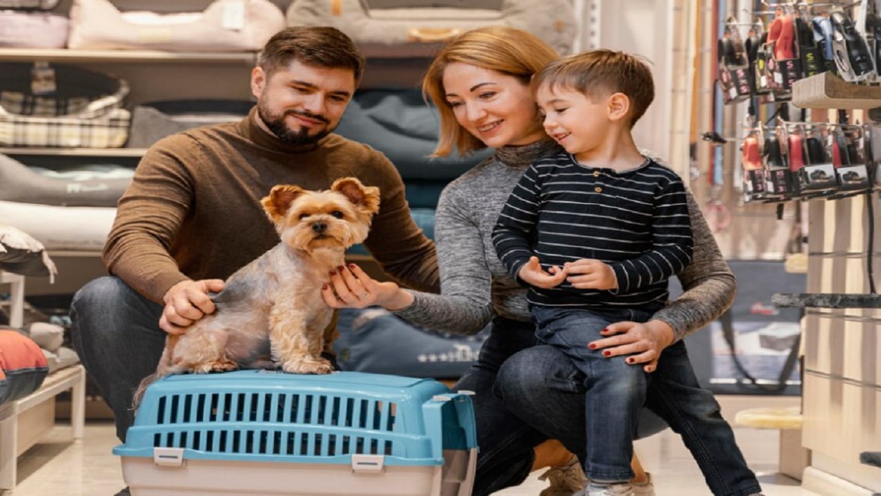 eskisehir-petshop