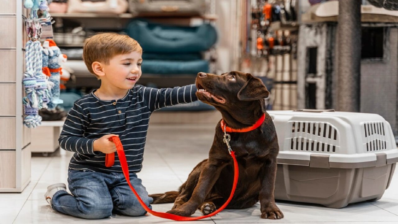 eskisehir-petshop