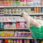 eskisehir-petshop